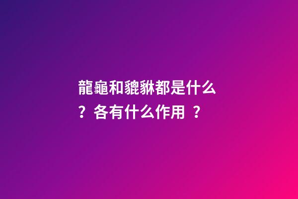 龍龜和貔貅都是什么？各有什么作用？